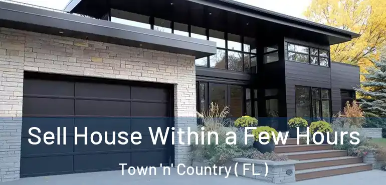  Sell House Within a Few Hours Town 'n' Country ( FL )