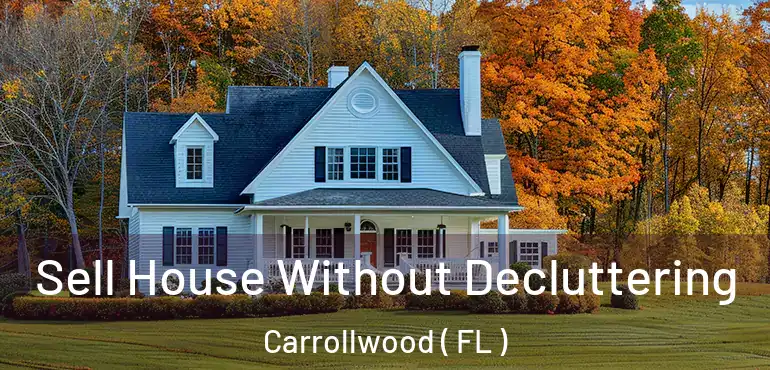  Sell House Without Decluttering Carrollwood ( FL )