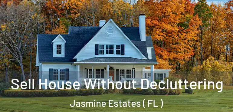  Sell House Without Decluttering Jasmine Estates ( FL )