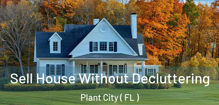  Sell House Without Decluttering Plant City ( FL )