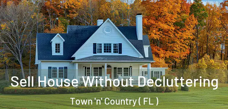  Sell House Without Decluttering Town 'n' Country ( FL )