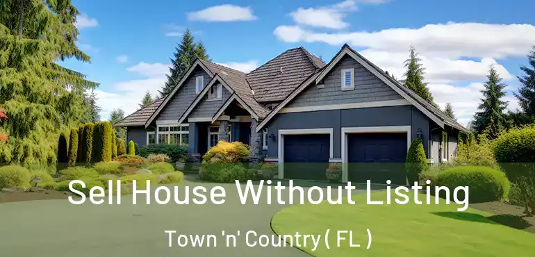  Sell House Without Listing Town 'n' Country ( FL )