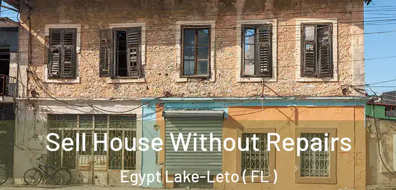 Sell House Without Repairs Egypt Lake-Leto ( FL )