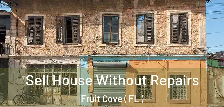 Sell House Without Repairs Fruit Cove ( FL )