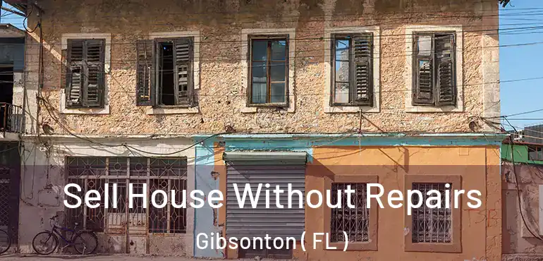  Sell House Without Repairs Gibsonton ( FL )