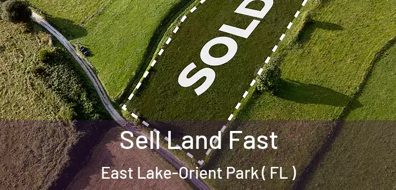  Sell Land Fast East Lake-Orient Park ( FL )