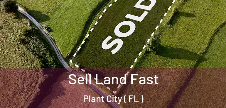  Sell Land Fast Plant City ( FL )
