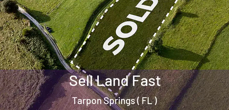  Sell Land Fast Tarpon Springs ( FL )