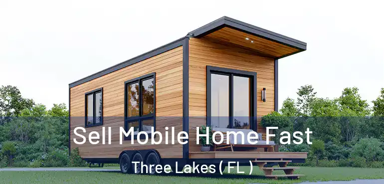  Sell Mobile Home Fast Three Lakes ( FL )