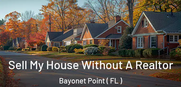  Sell My House Without A Realtor Bayonet Point ( FL )