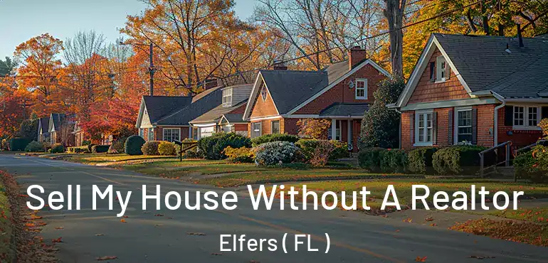  Sell My House Without A Realtor Elfers ( FL )