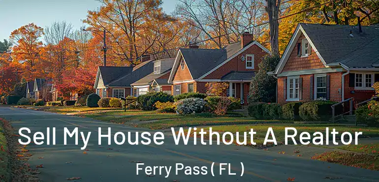  Sell My House Without A Realtor Ferry Pass ( FL )