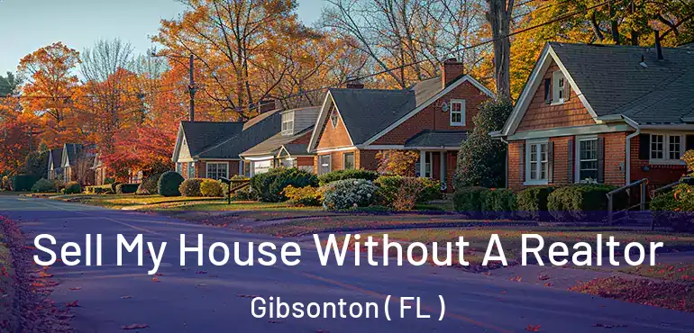  Sell My House Without A Realtor Gibsonton ( FL )