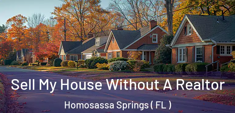  Sell My House Without A Realtor Homosassa Springs ( FL )