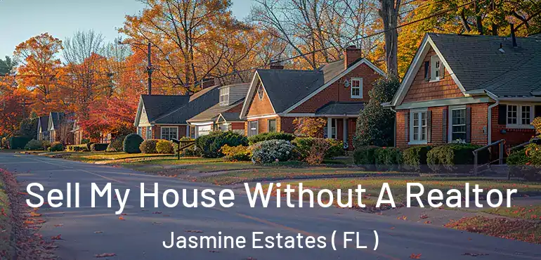  Sell My House Without A Realtor Jasmine Estates ( FL )