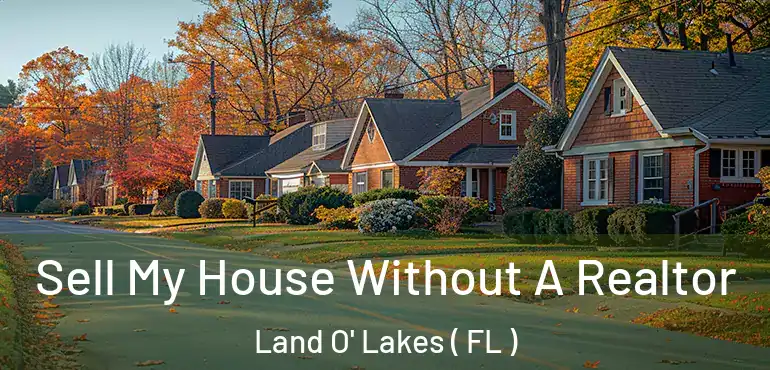  Sell My House Without A Realtor Land O' Lakes ( FL )