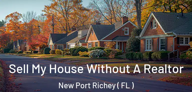  Sell My House Without A Realtor New Port Richey ( FL )