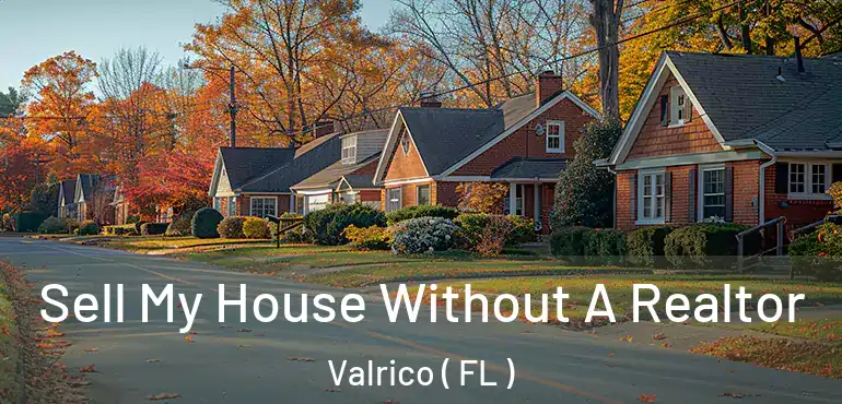  Sell My House Without A Realtor Valrico ( FL )