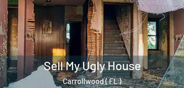  Sell My Ugly House Carrollwood ( FL )
