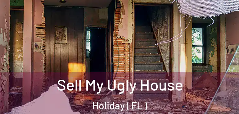  Sell My Ugly House Holiday ( FL )