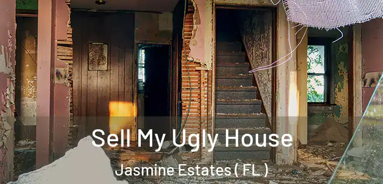  Sell My Ugly House Jasmine Estates ( FL )
