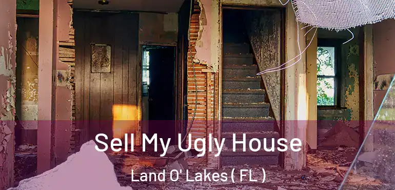  Sell My Ugly House Land O' Lakes ( FL )