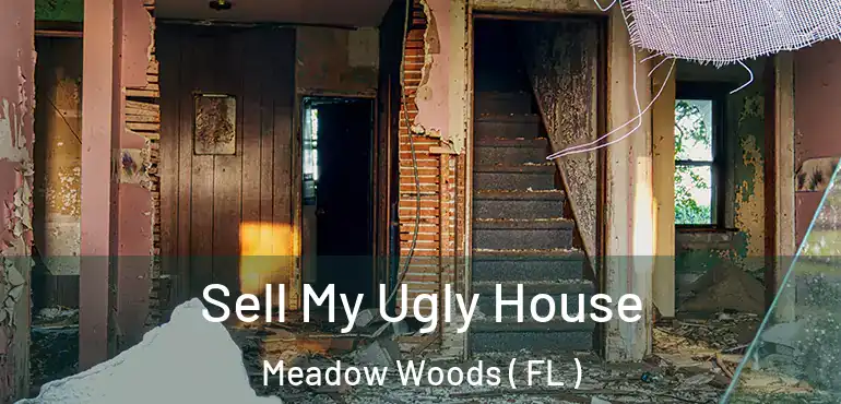  Sell My Ugly House Meadow Woods ( FL )