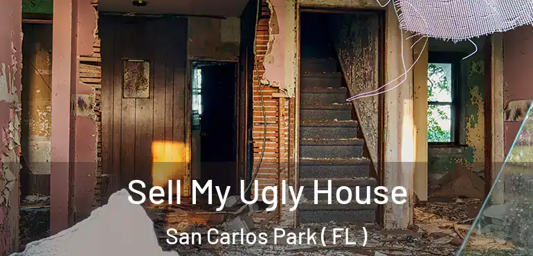  Sell My Ugly House San Carlos Park ( FL )