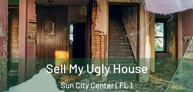  Sell My Ugly House Sun City Center ( FL )