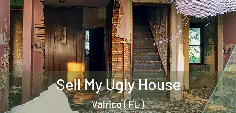  Sell My Ugly House Valrico ( FL )