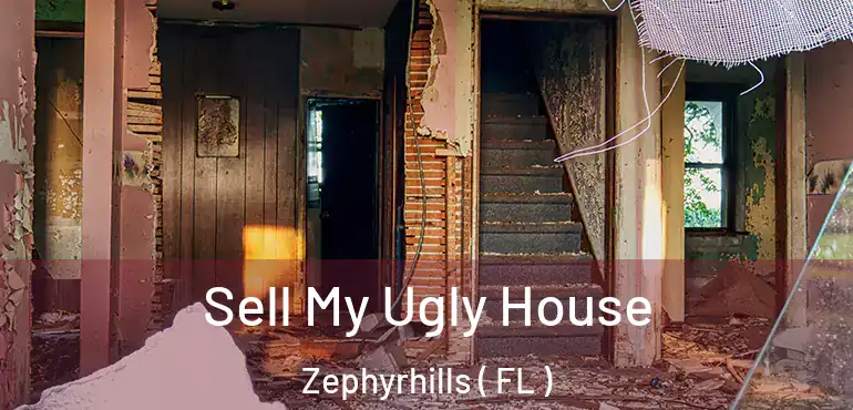  Sell My Ugly House Zephyrhills ( FL )