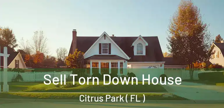  Sell Torn Down House Citrus Park ( FL )