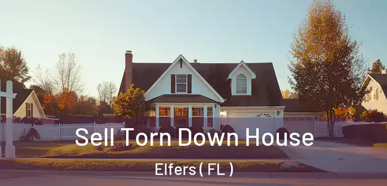  Sell Torn Down House Elfers ( FL )