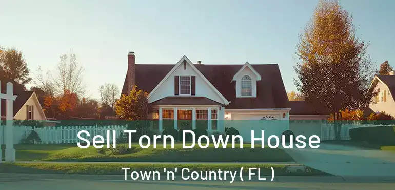  Sell Torn Down House Town 'n' Country ( FL )