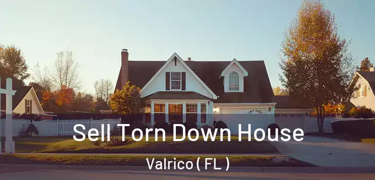  Sell Torn Down House Valrico ( FL )