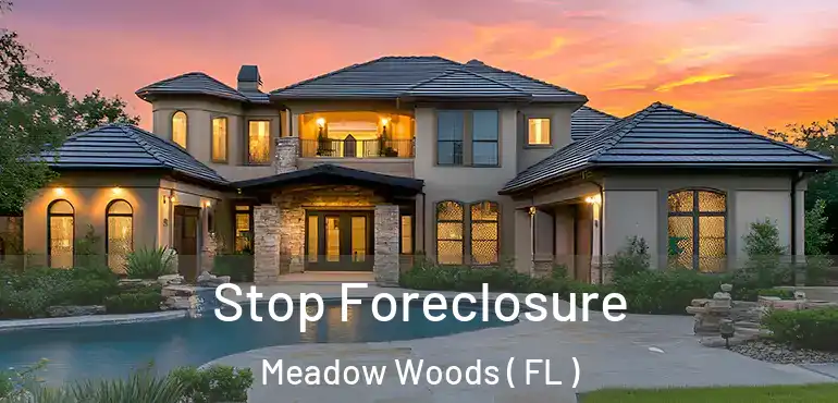 Stop Foreclosure Meadow Woods ( FL )