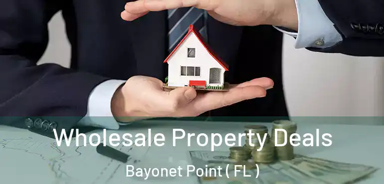  Wholesale Property Deals Bayonet Point ( FL )