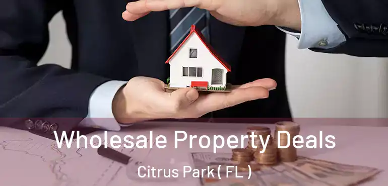  Wholesale Property Deals Citrus Park ( FL )