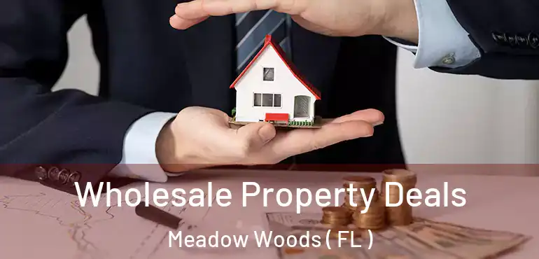  Wholesale Property Deals Meadow Woods ( FL )