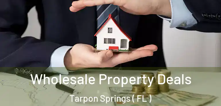  Wholesale Property Deals Tarpon Springs ( FL )