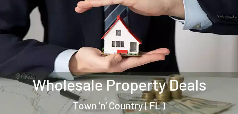  Wholesale Property Deals Town 'n' Country ( FL )