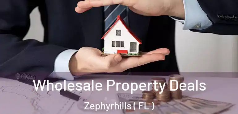  Wholesale Property Deals Zephyrhills ( FL )