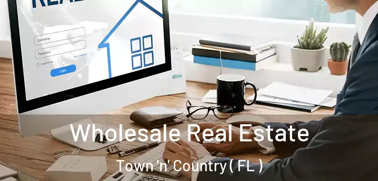  Wholesale Real Estate Town 'n' Country ( FL )
