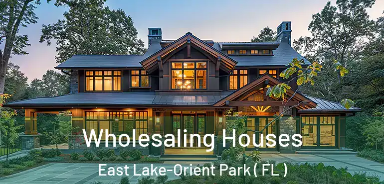  Wholesaling Houses East Lake-Orient Park ( FL )