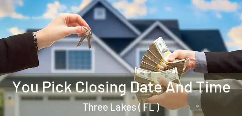  You Pick Closing Date And Time Three Lakes ( FL )